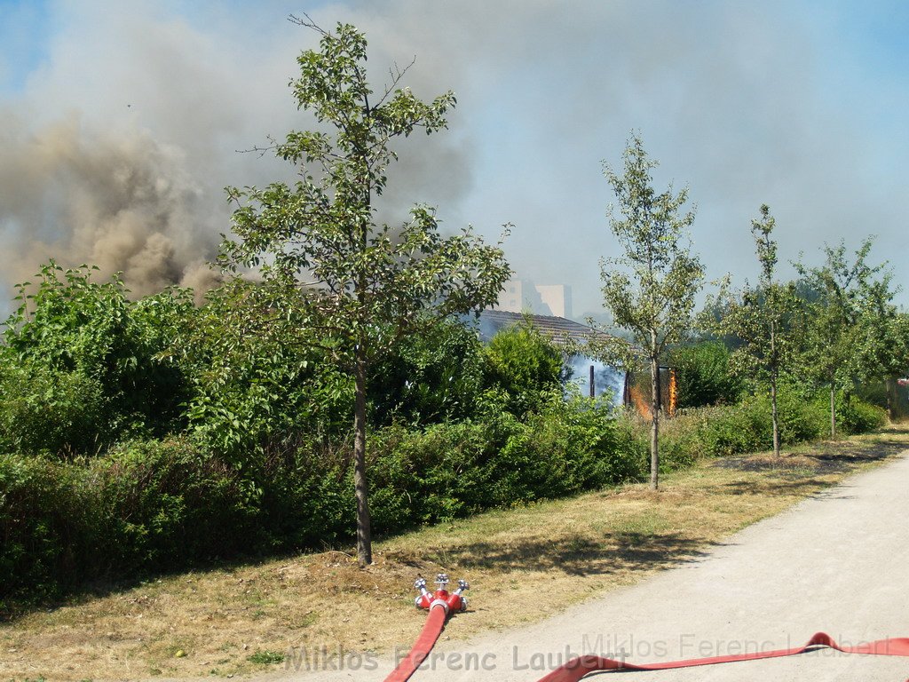 Gartenlaube in Vollbrand Koeln Poll Im Gremberger Waeldchen P006.JPG